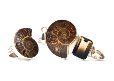 Ammonite Ring